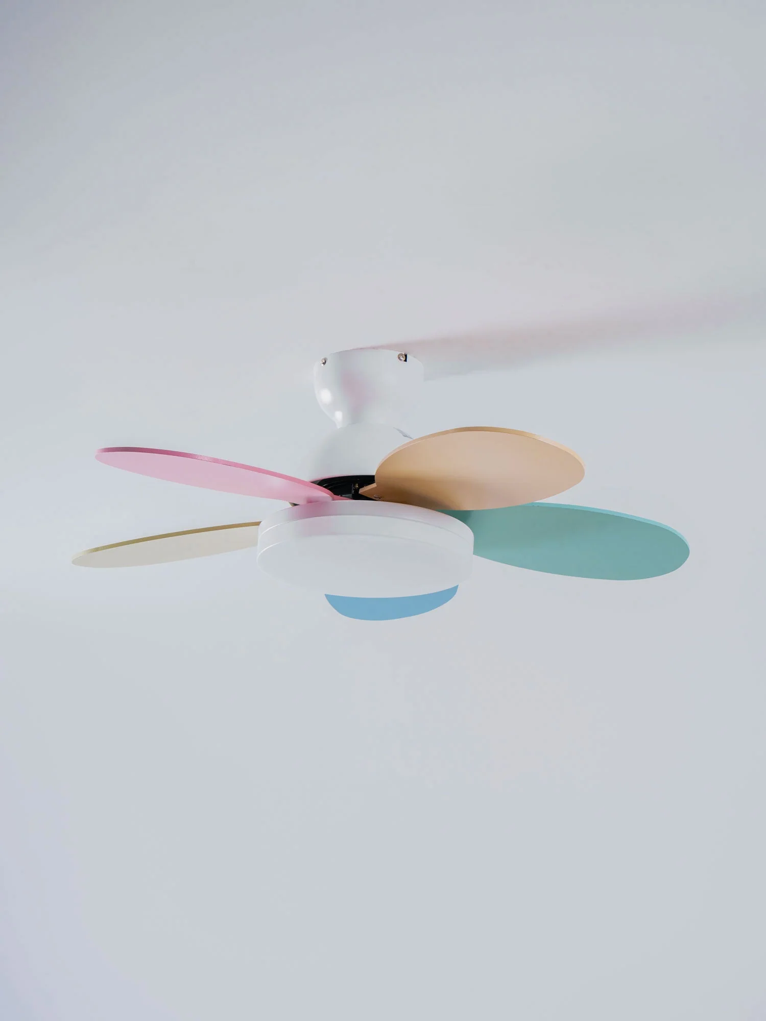 Miniatuur 39