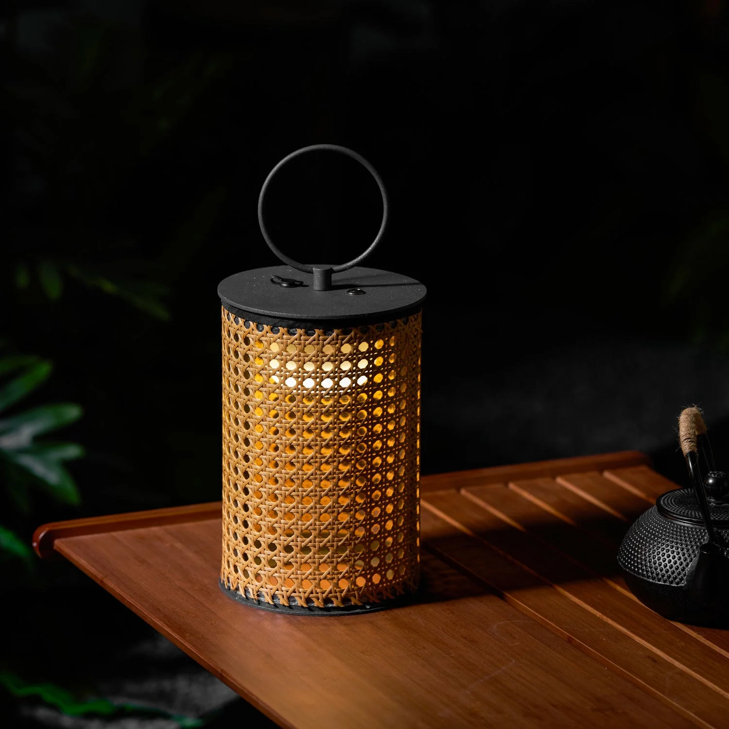 Miniatuur 6