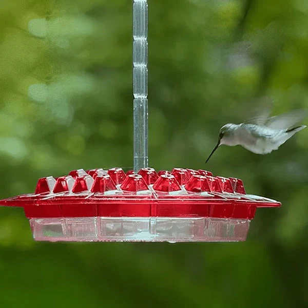 Miniatuur 5