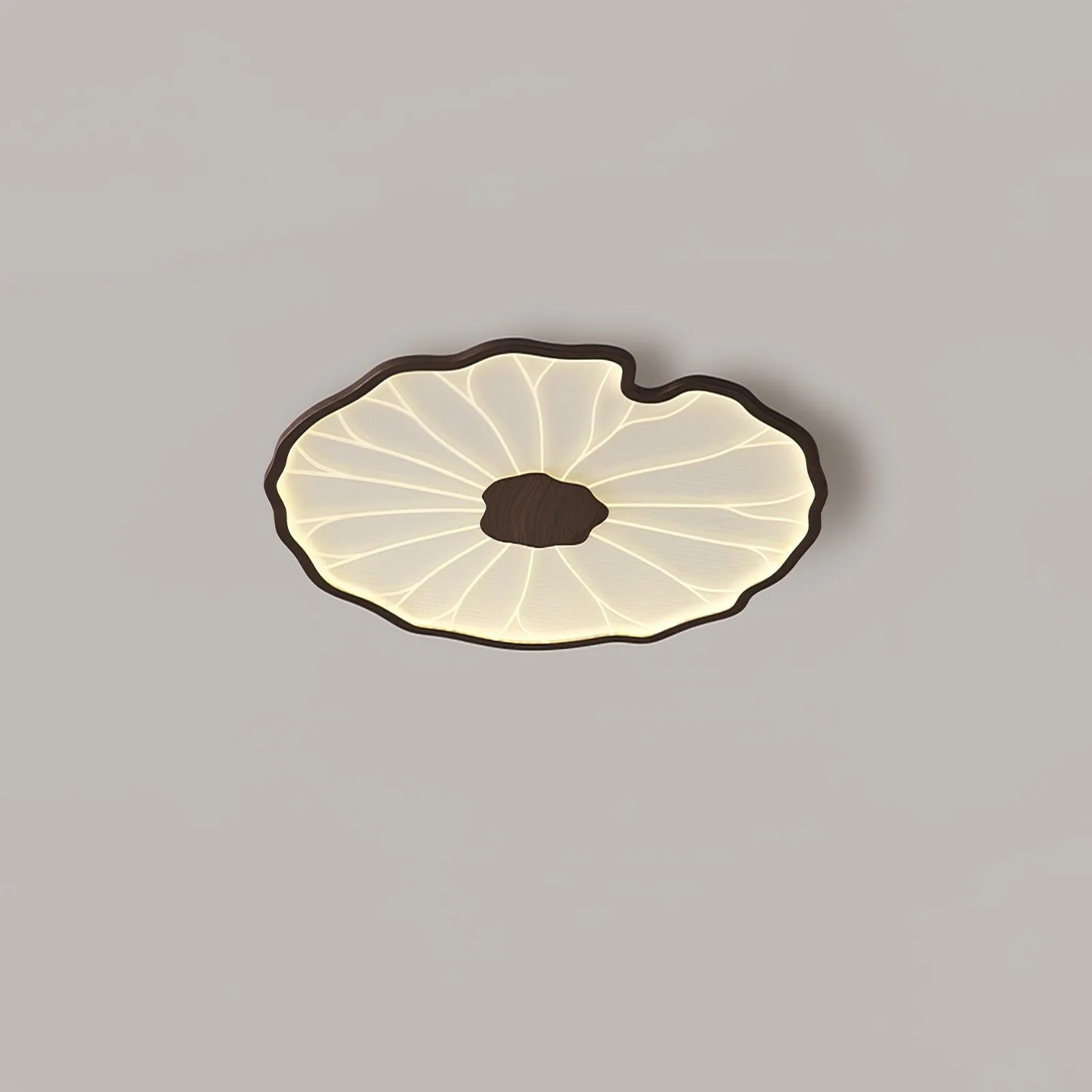 Miniatuur 2