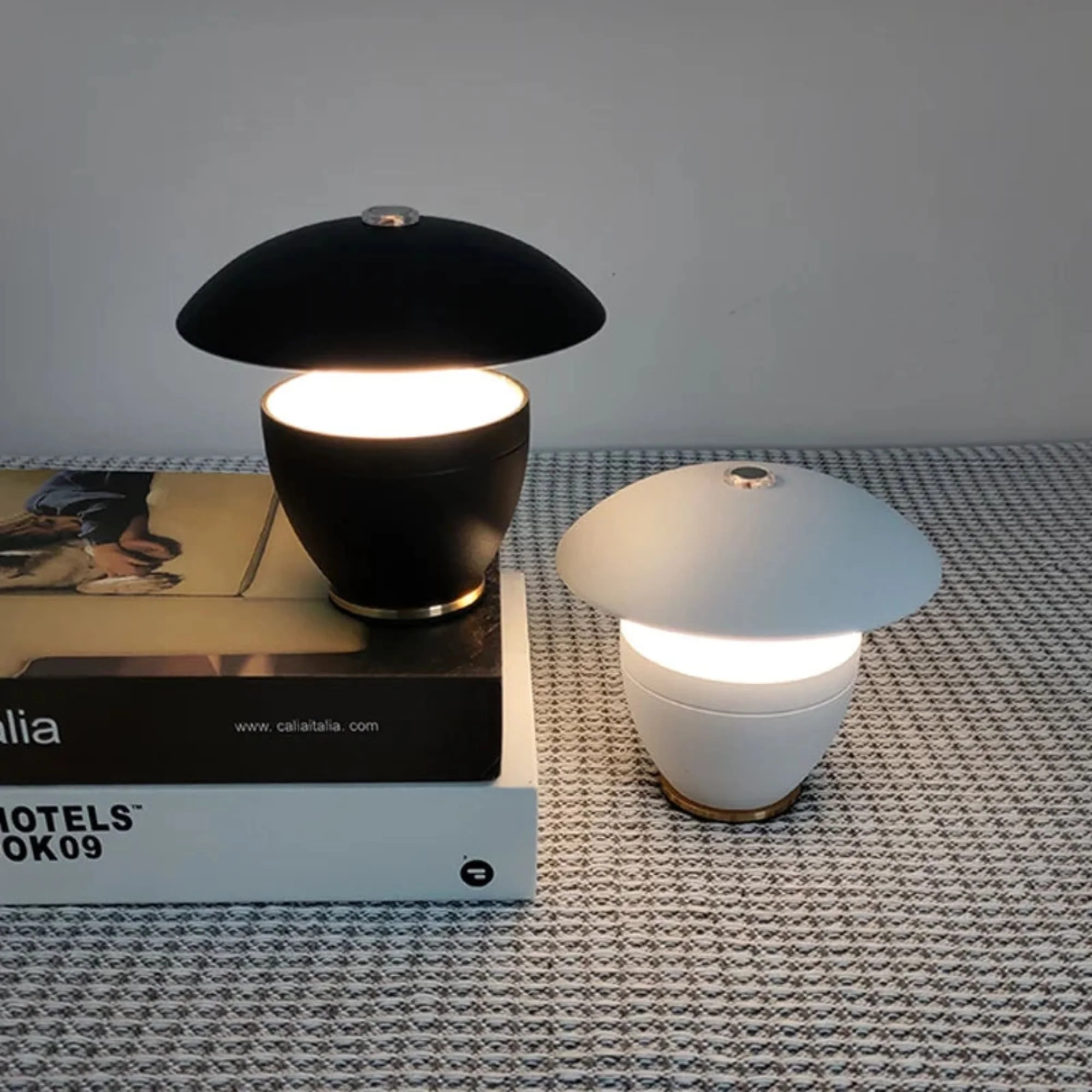 Miniatuur 2