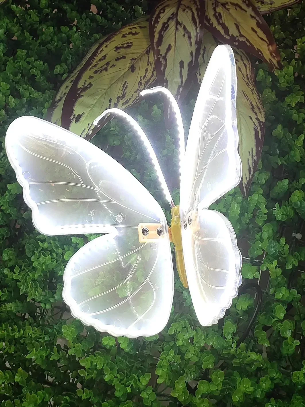 Miniatuur 1