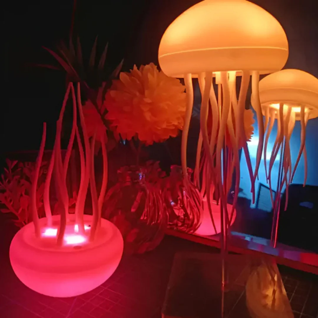 Miniatuur 2