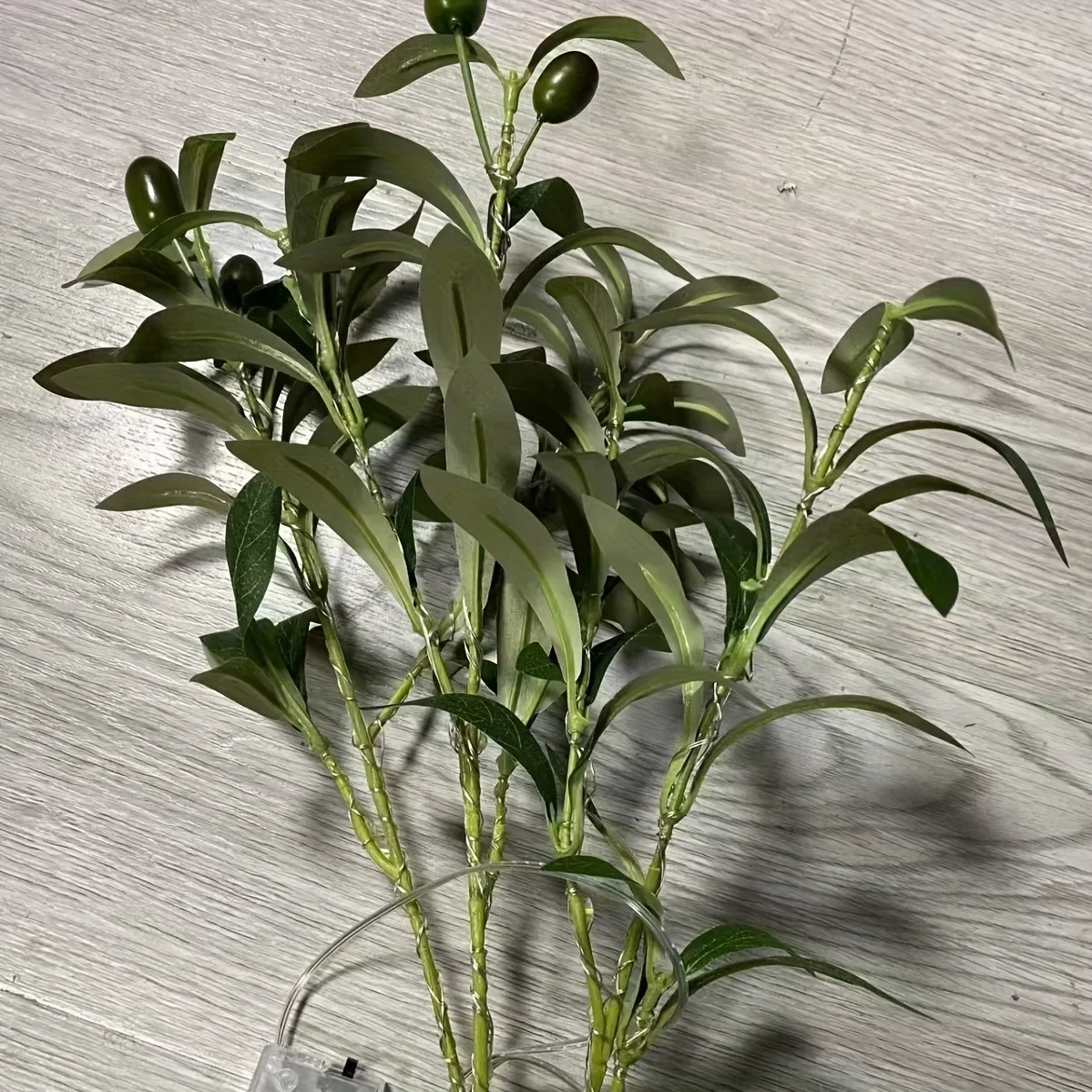 Miniatuur 3