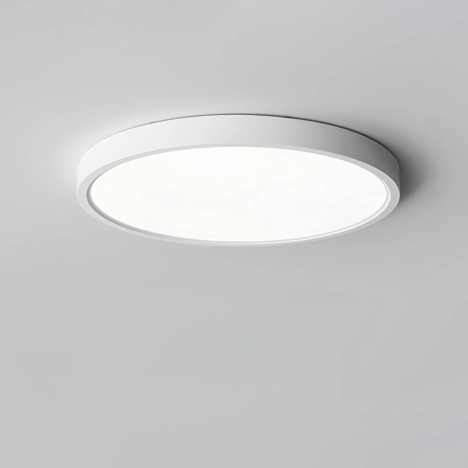 Miniatuur 7
