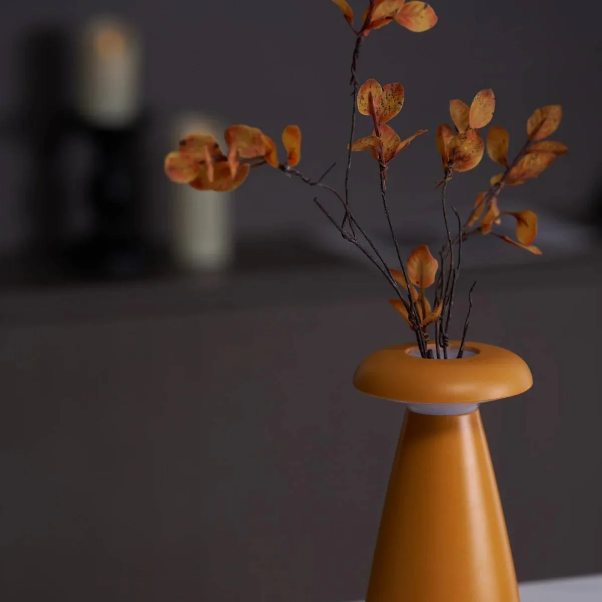 Miniatuur 10