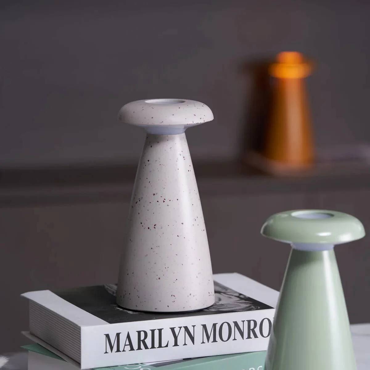 Miniatuur 13