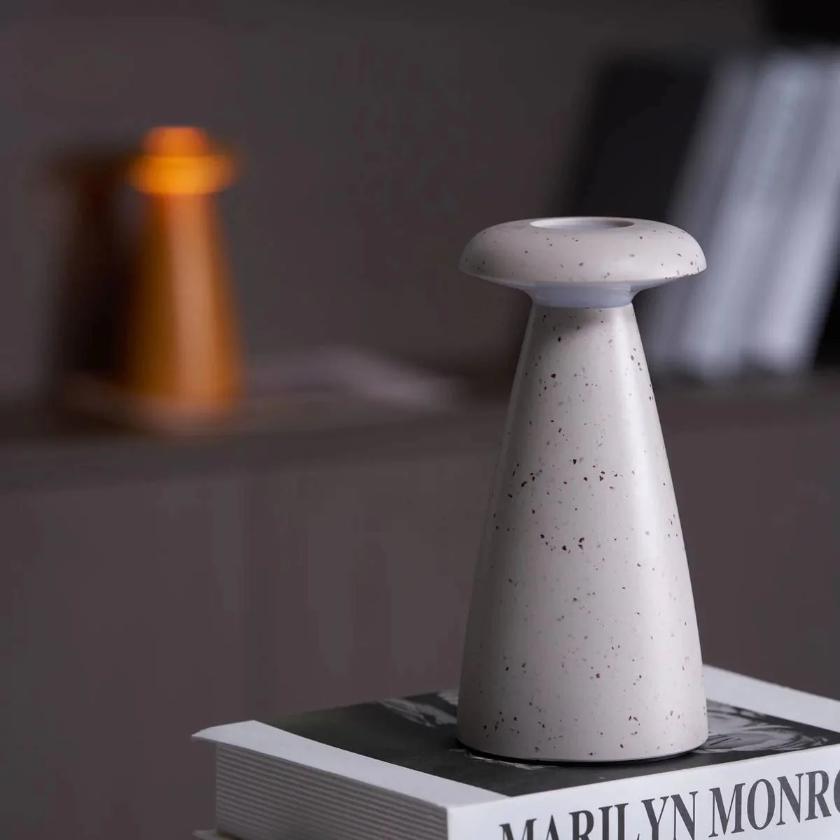 Miniatuur 14