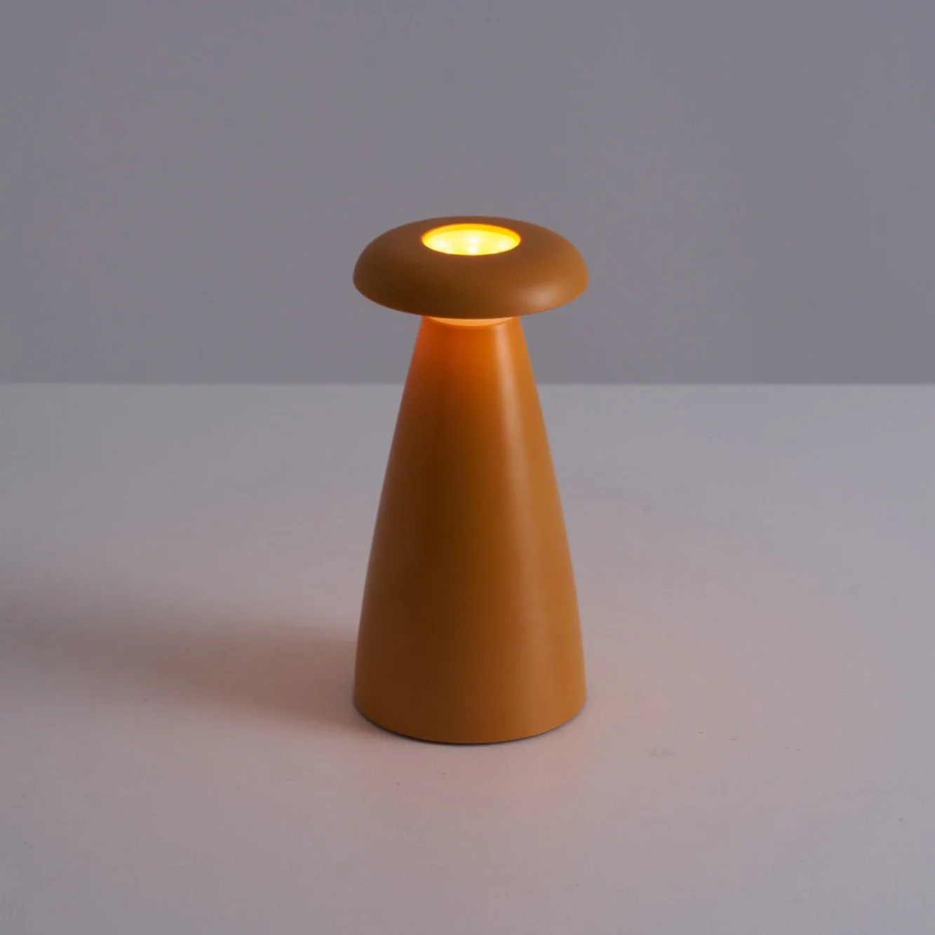 Miniatuur 25
