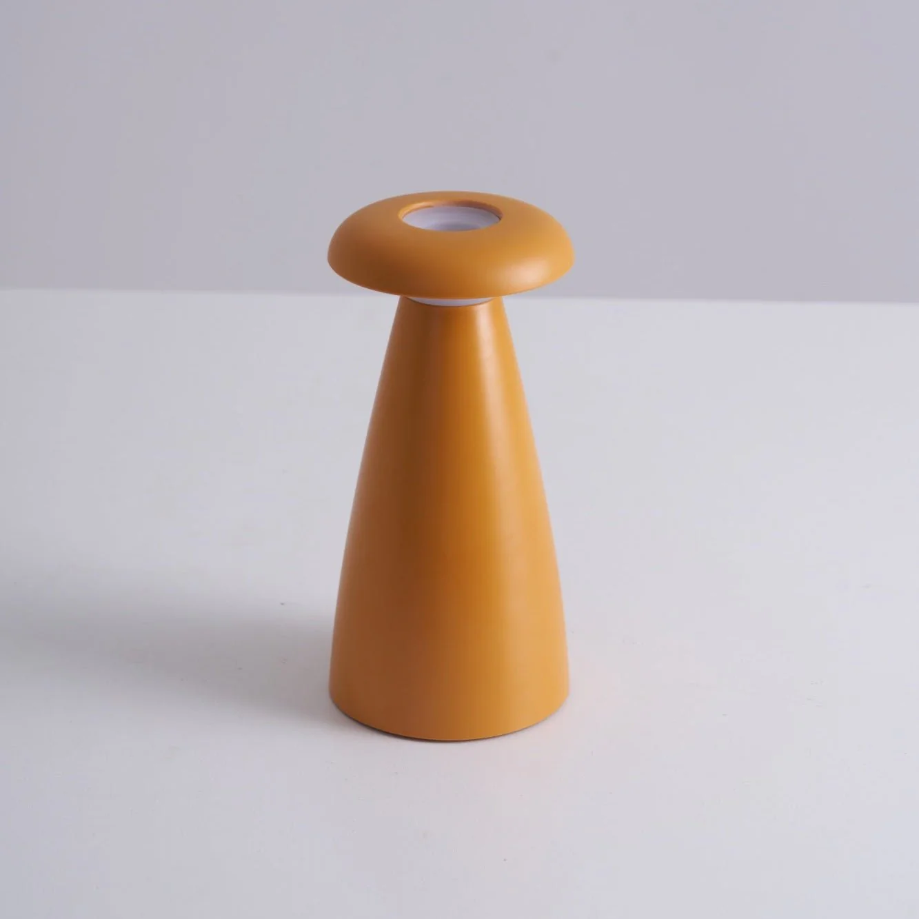 Miniatuur 3
