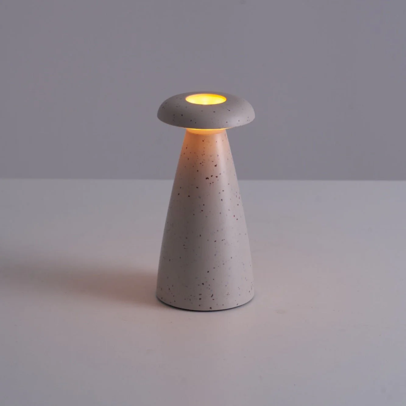 Miniatuur 31