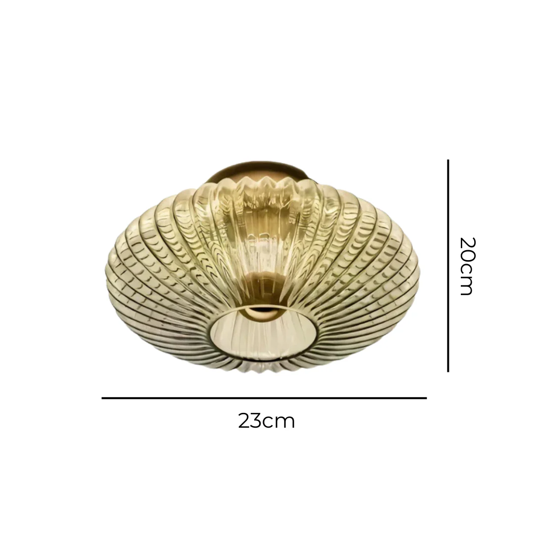 Miniatuur 5