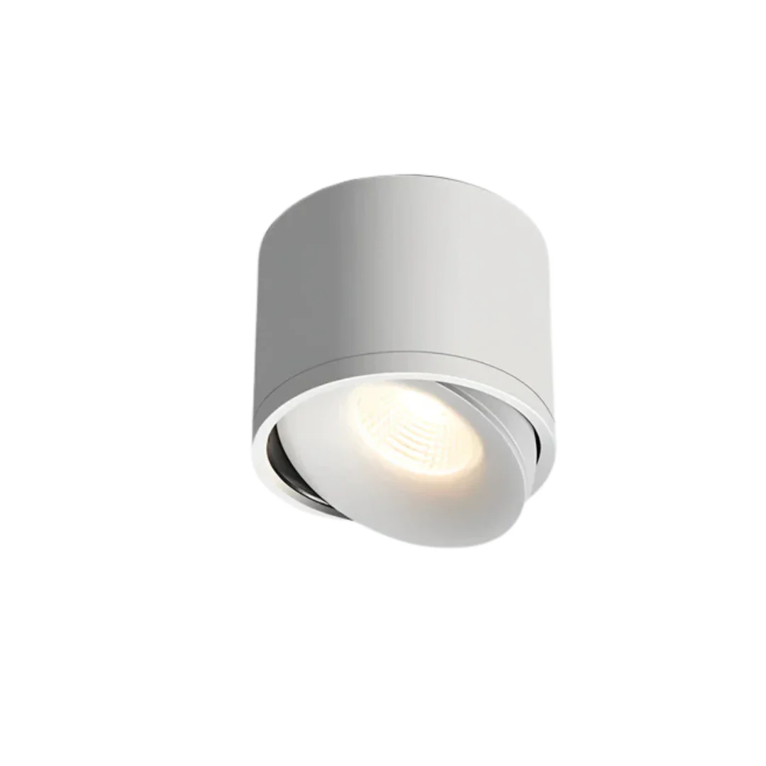 Miniatuur 5