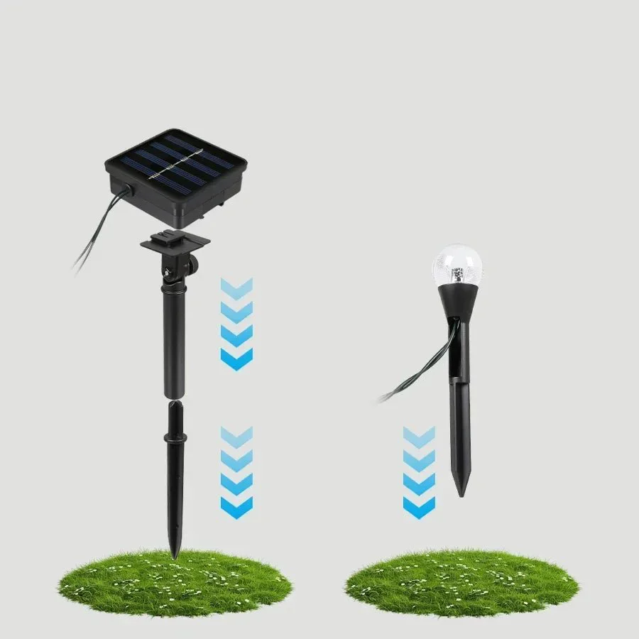 Miniatuur 5
