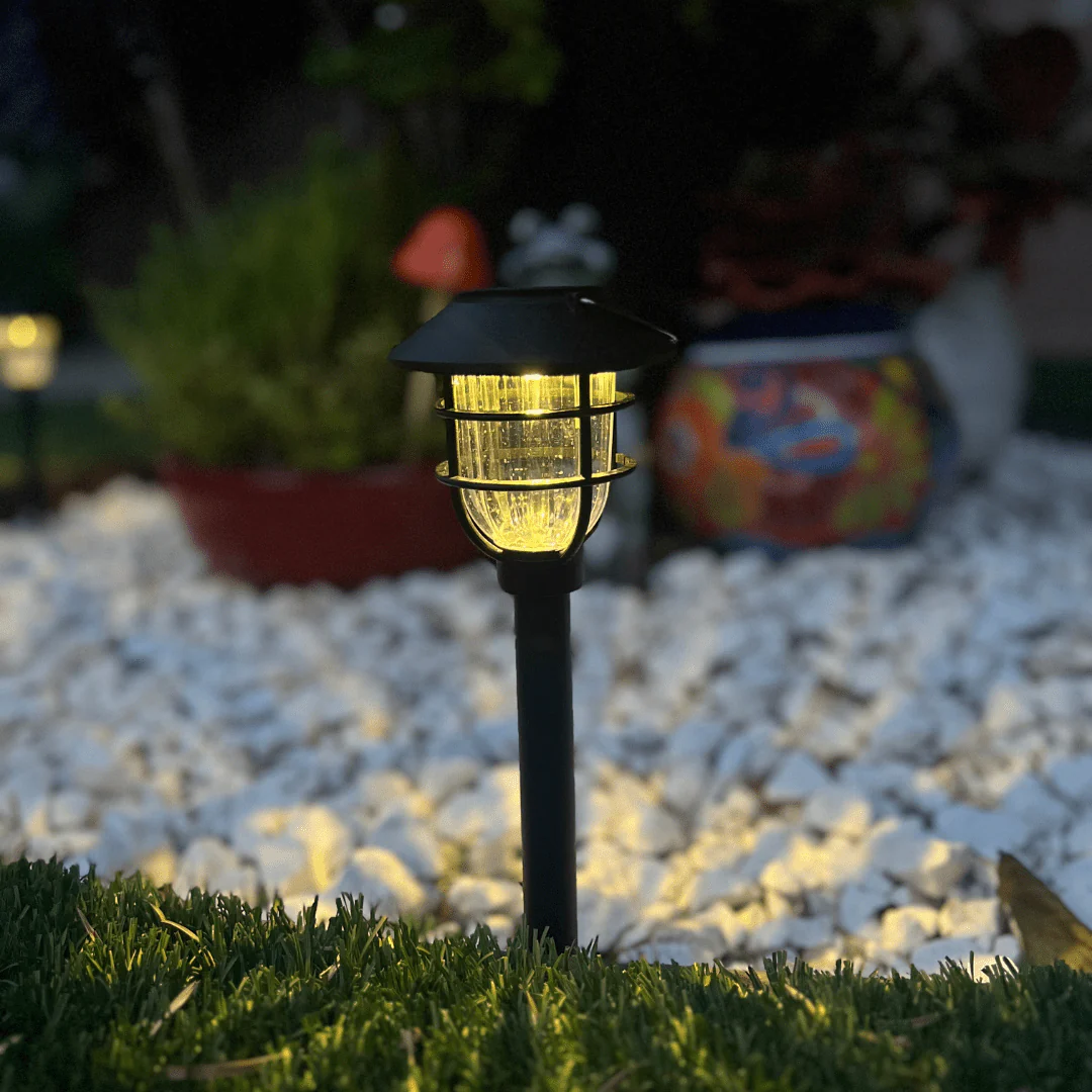 Miniatuur 3