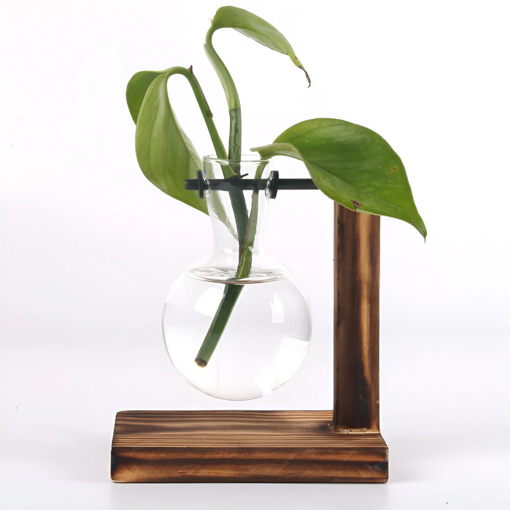 Miniatuur 5