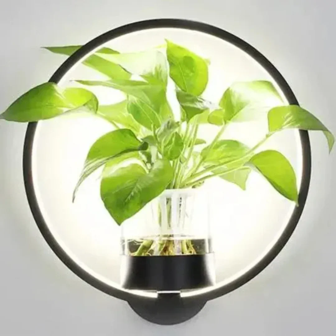 Miniatuur 5